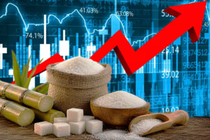 Sugar Prices Surge to ₹69/kg: Government Steps In to Tame Skyrocketing Rates