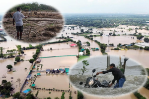 Severe Weather Prompts Regional Flooding and Heavy Agricultural Toll Across North and Central India